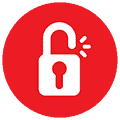 Security Breach Icon